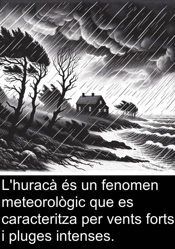 caracteritza: L'huracà és un fenomen meteorològic que es caracteritza per vents forts i pluges intenses.