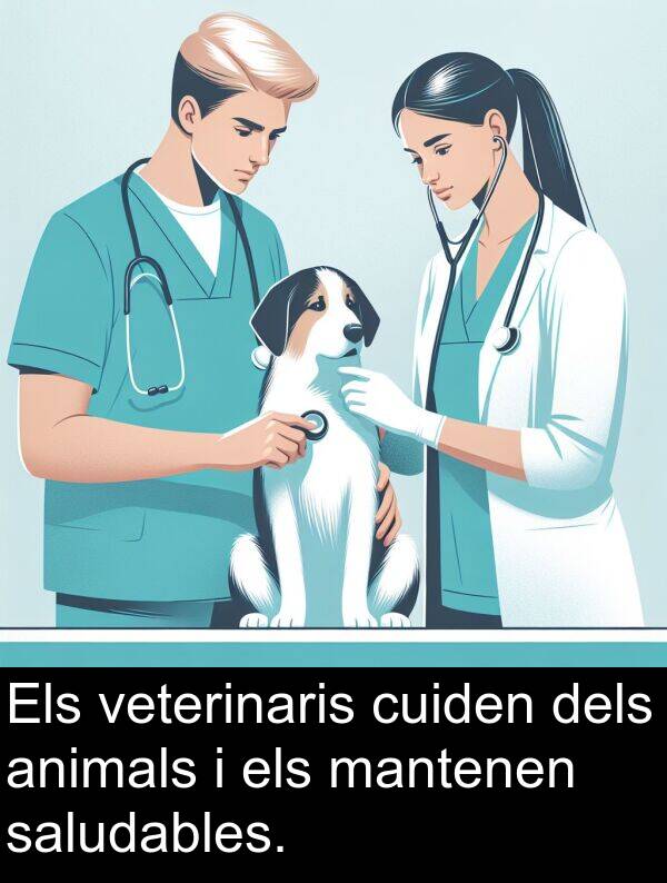 veterinaris: Els veterinaris cuiden dels animals i els mantenen saludables.