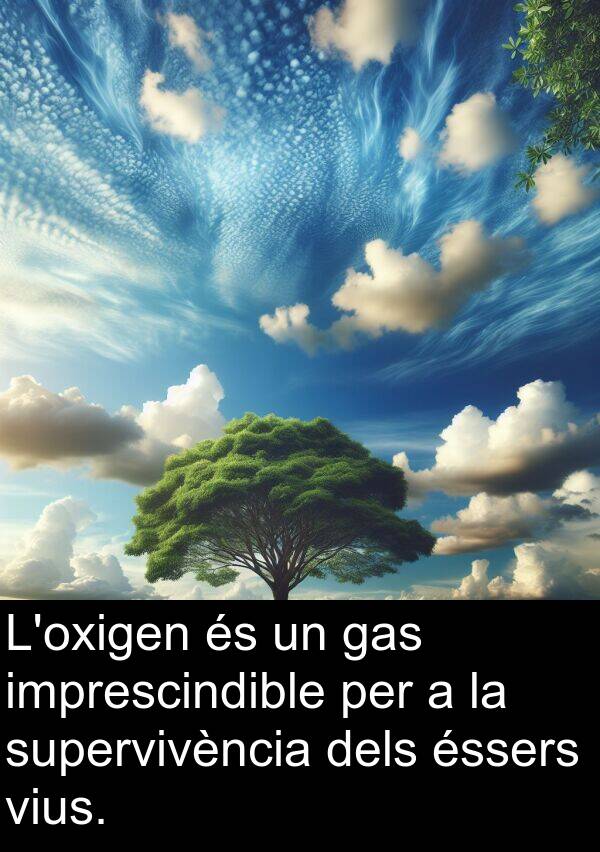 imprescindible: L'oxigen és un gas imprescindible per a la supervivència dels éssers vius.