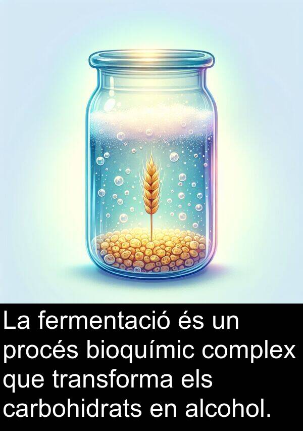 bioquímic: La fermentació és un procés bioquímic complex que transforma els carbohidrats en alcohol.