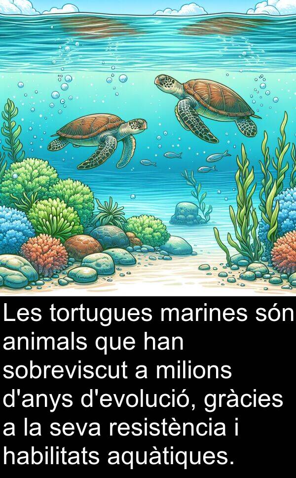 marines: Les tortugues marines són animals que han sobreviscut a milions d'anys d'evolució, gràcies a la seva resistència i habilitats aquàtiques.