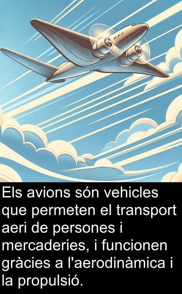 aeri: Els avions són vehicles que permeten el transport aeri de persones i mercaderies, i funcionen gràcies a l'aerodinàmica i la propulsió.