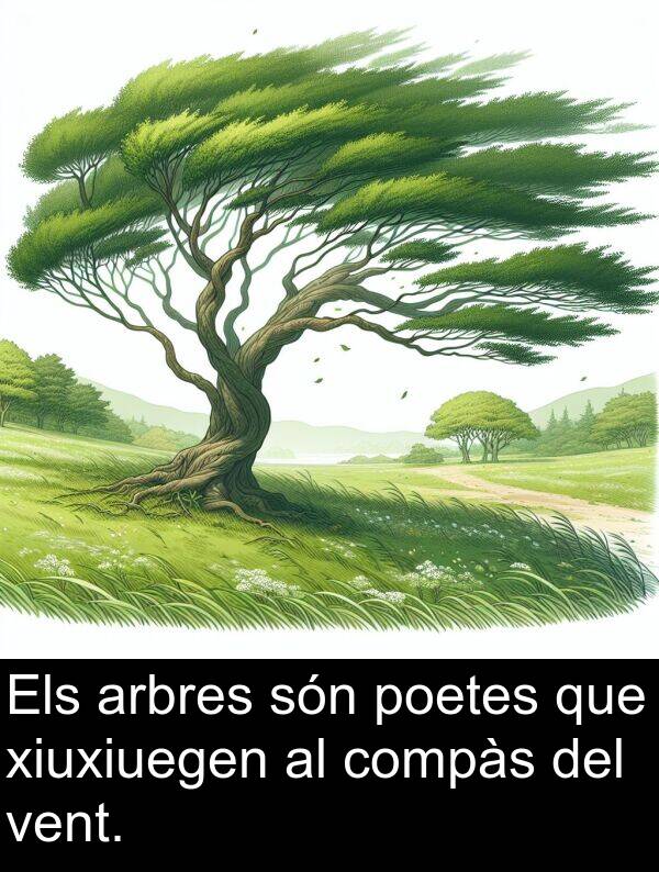 vent: Els arbres són poetes que xiuxiuegen al compàs del vent.