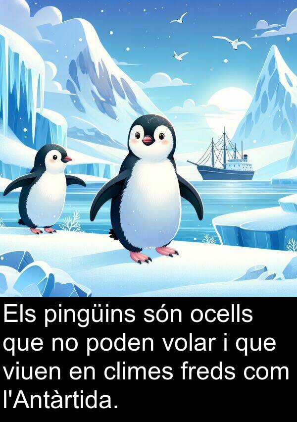 ocells: Els pingüins són ocells que no poden volar i que viuen en climes freds com l'Antàrtida.