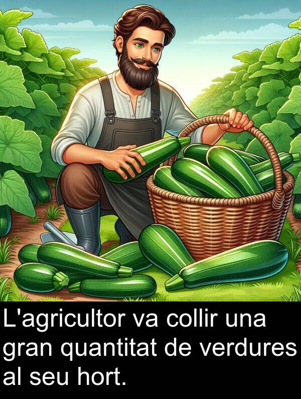 quantitat: L'agricultor va collir una gran quantitat de verdures al seu hort.