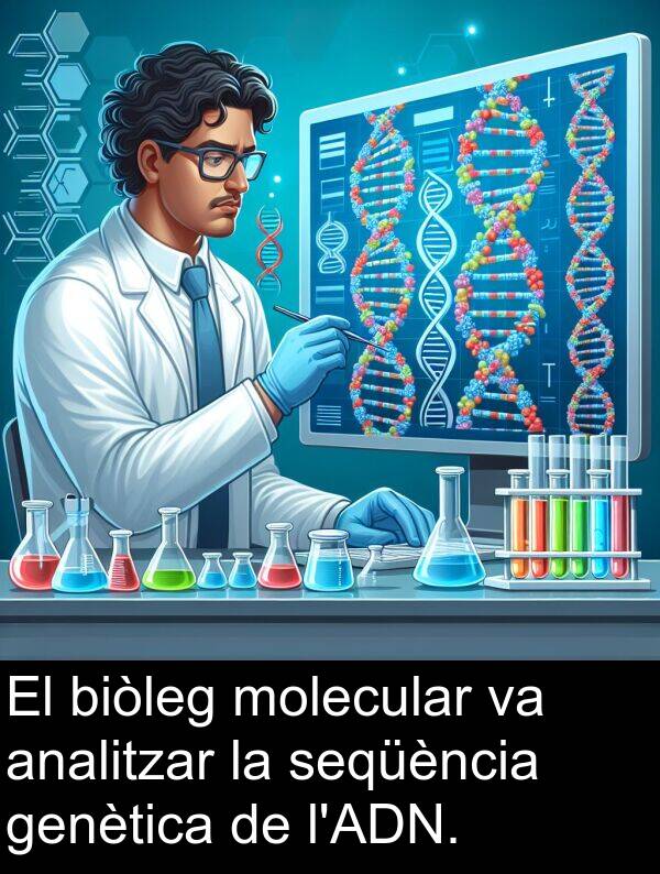 biòleg: El biòleg molecular va analitzar la seqüència genètica de l'ADN.