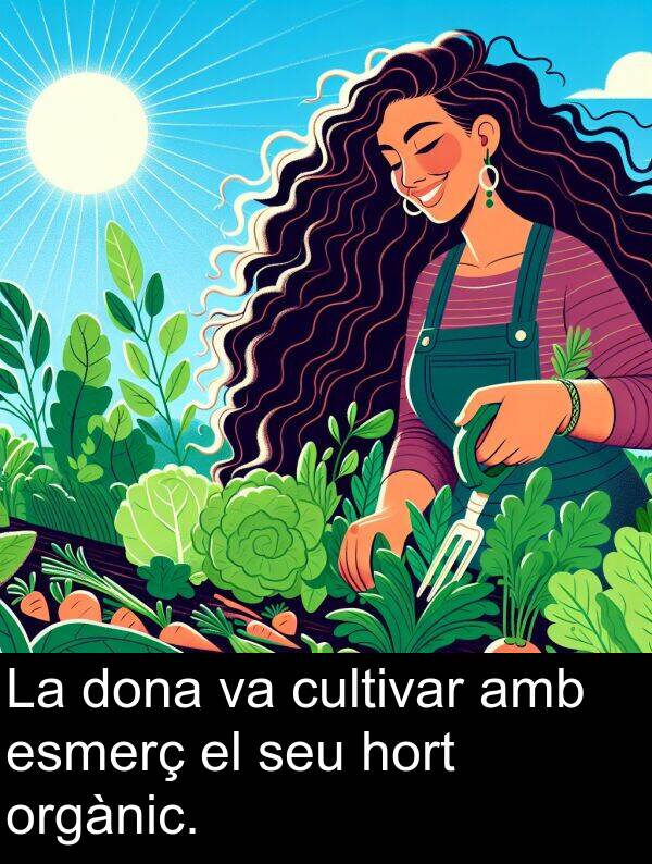 orgànic: La dona va cultivar amb esmerç el seu hort orgànic.