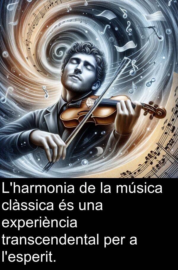 clàssica: L'harmonia de la música clàssica és una experiència transcendental per a l'esperit.