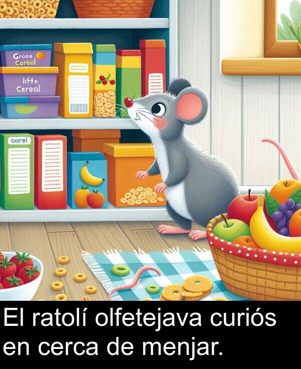 olfetejava: El ratolí olfetejava curiós en cerca de menjar.