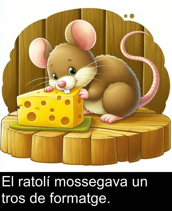 formatge: El ratolí mossegava un tros de formatge.