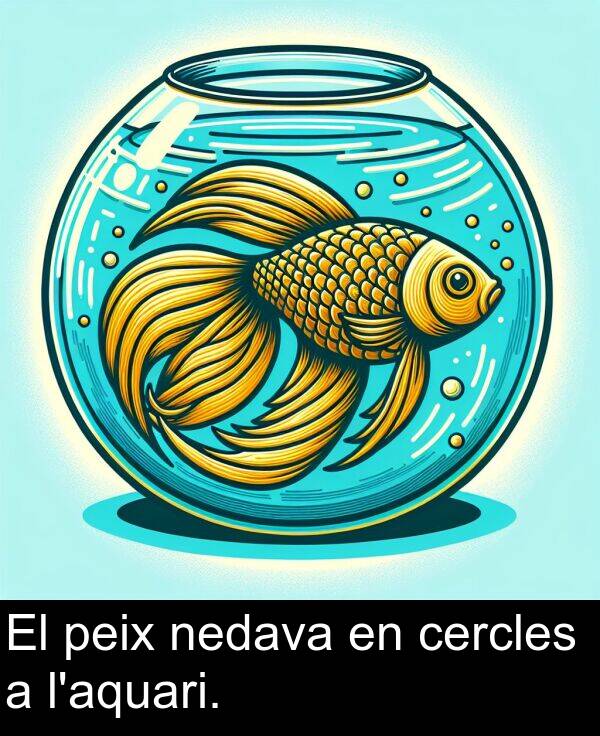 peix: El peix nedava en cercles a l'aquari.