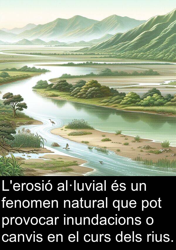 canvis: L'erosió al·luvial és un fenomen natural que pot provocar inundacions o canvis en el curs dels rius.