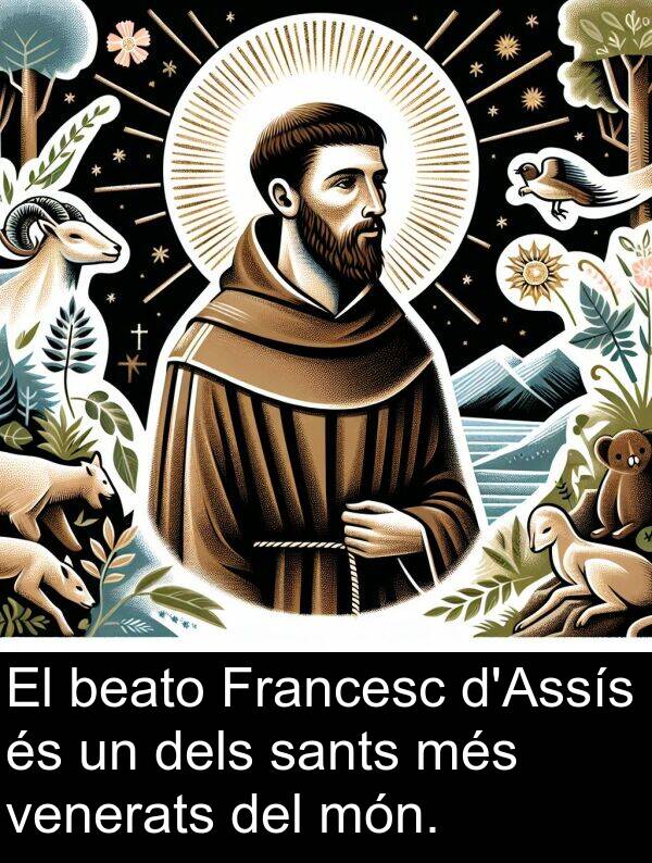 beato: El beato Francesc d'Assís és un dels sants més venerats del món.