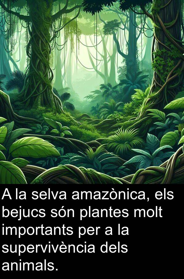 bejucs: A la selva amazònica, els bejucs són plantes molt importants per a la supervivència dels animals.