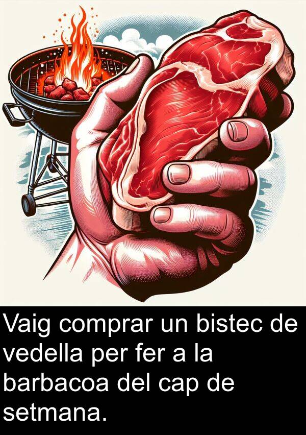 bistec: Vaig comprar un bistec de vedella per fer a la barbacoa del cap de setmana.