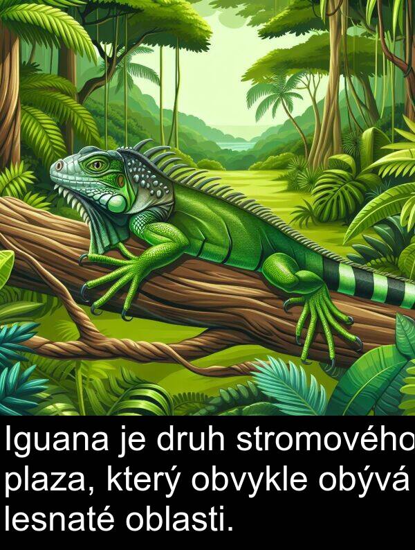 oblasti: Iguana je druh stromového plaza, který obvykle obývá lesnaté oblasti.