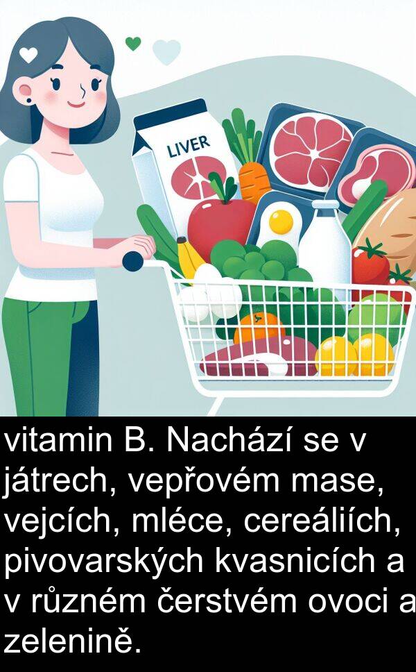 čerstvém: vitamin B. Nachází se v játrech, vepřovém mase, vejcích, mléce, cereáliích, pivovarských kvasnicích a v různém čerstvém ovoci a zelenině.