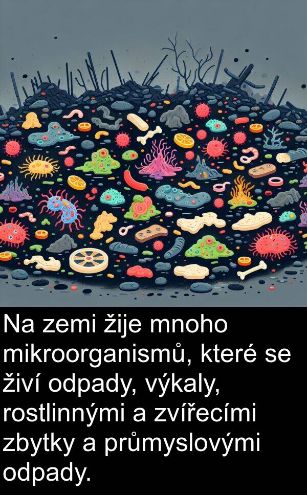 žije: Na zemi žije mnoho mikroorganismů, které se živí odpady, výkaly, rostlinnými a zvířecími zbytky a průmyslovými odpady.