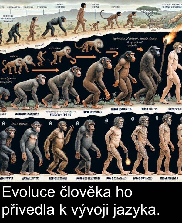 jazyka: Evoluce člověka ho přivedla k vývoji jazyka.