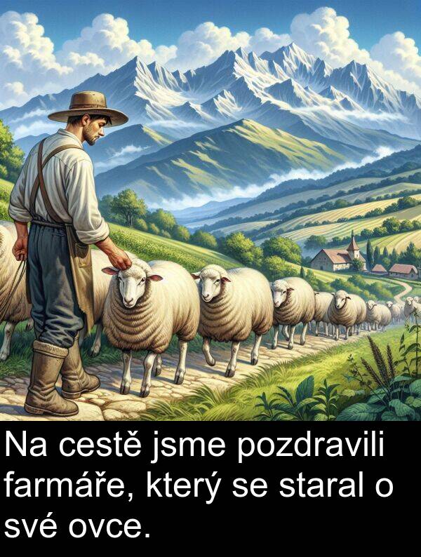 farmáře: Na cestě jsme pozdravili farmáře, který se staral o své ovce.