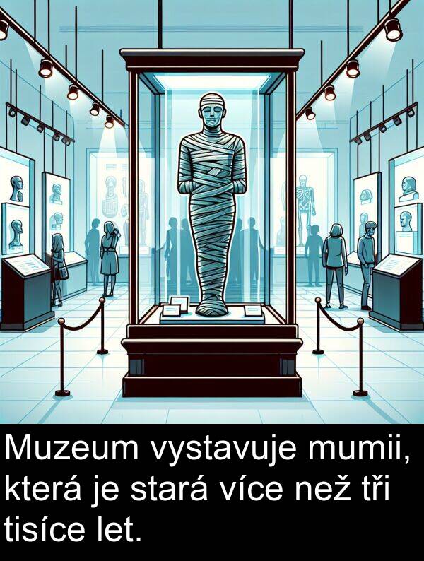 let: Muzeum vystavuje mumii, která je stará více než tři tisíce let.