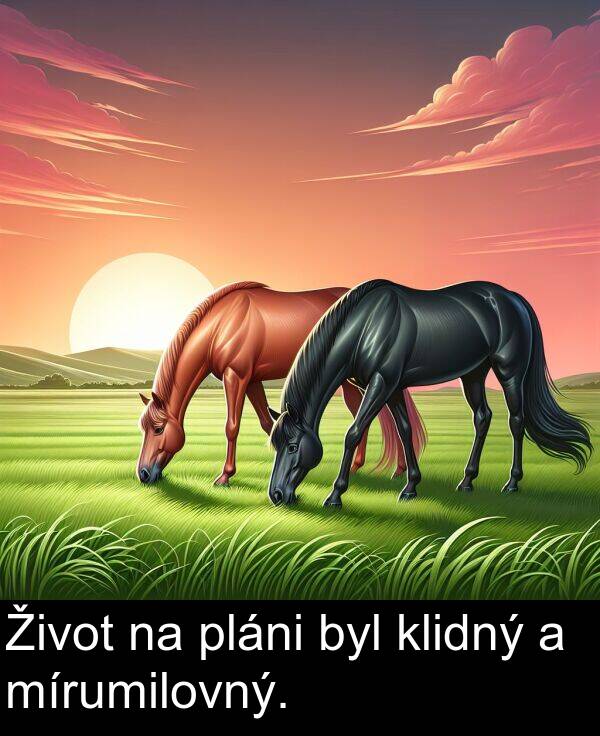 klidný: Život na pláni byl klidný a mírumilovný.