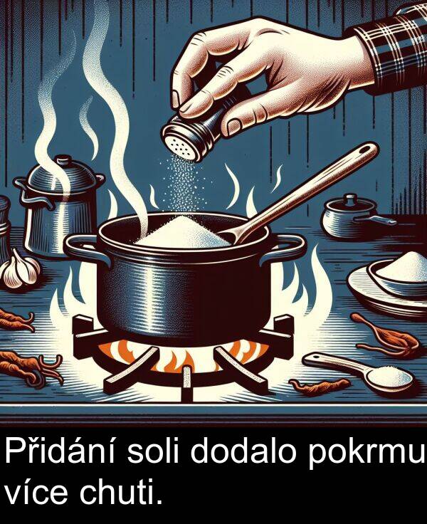 pokrmu: Přidání soli dodalo pokrmu více chuti.