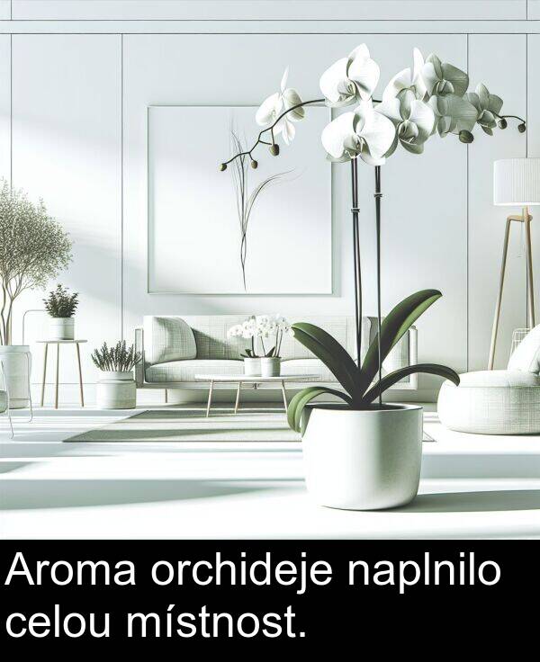 místnost: Aroma orchideje naplnilo celou místnost.