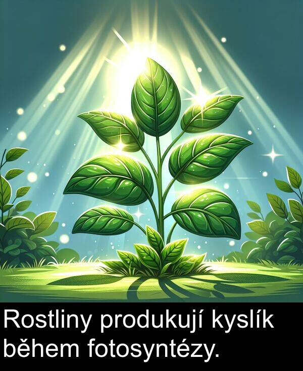 fotosyntézy: Rostliny produkují kyslík během fotosyntézy.