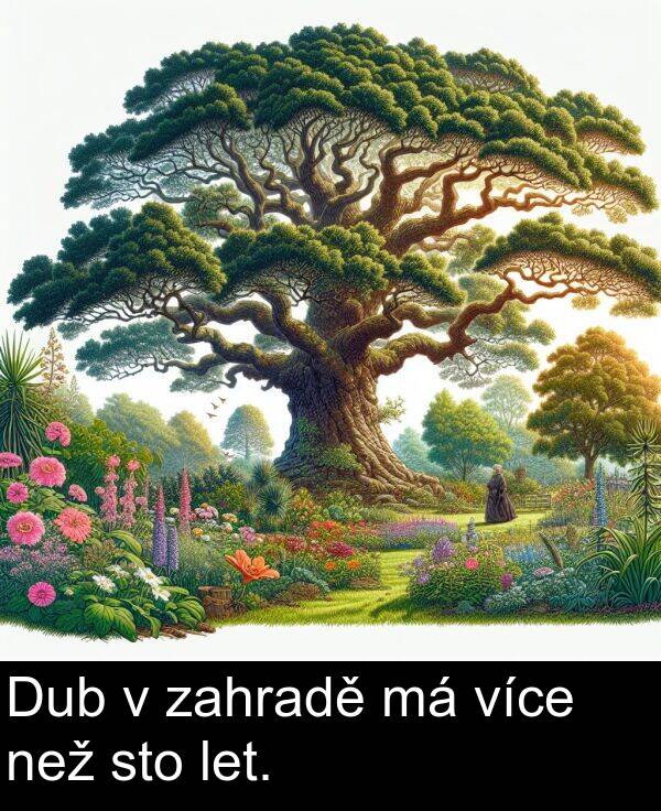 let: Dub v zahradě má více než sto let.