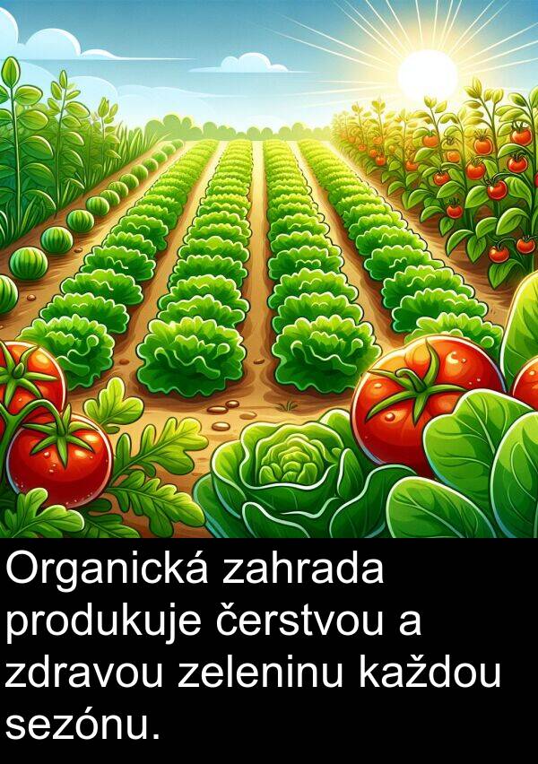 čerstvou: Organická zahrada produkuje čerstvou a zdravou zeleninu každou sezónu.