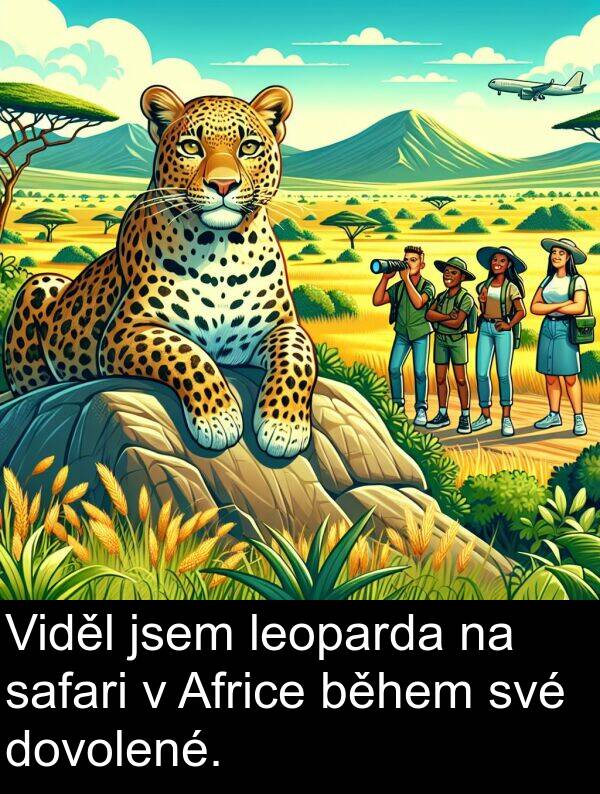 během: Viděl jsem leoparda na safari v Africe během své dovolené.