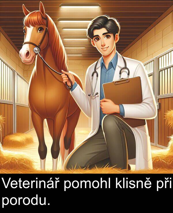 při: Veterinář pomohl klisně při porodu.