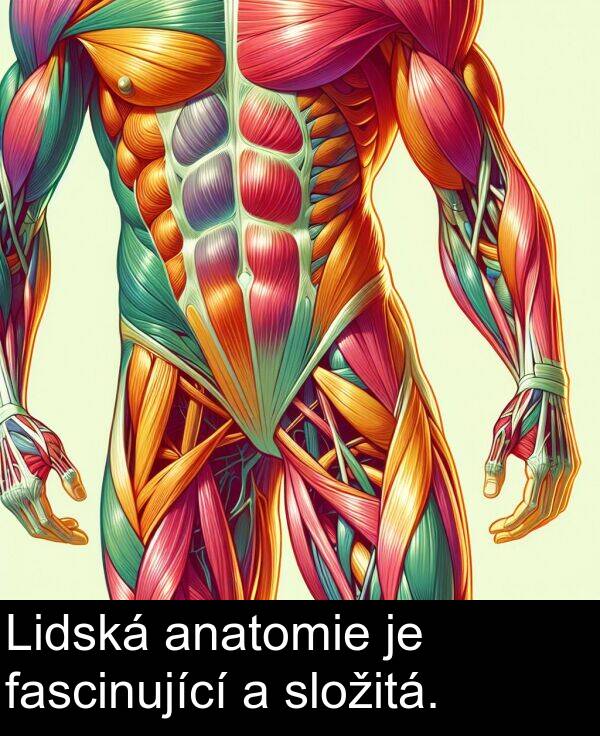 fascinující: Lidská anatomie je fascinující a složitá.