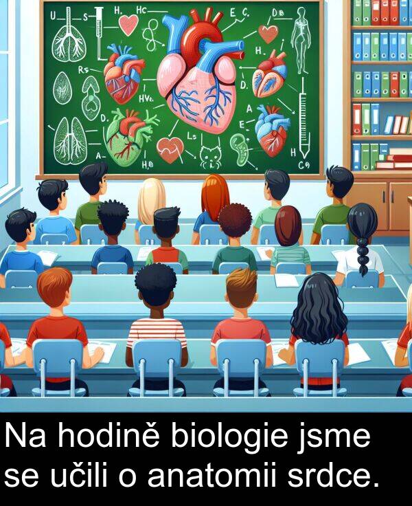 hodině: Na hodině biologie jsme se učili o anatomii srdce.