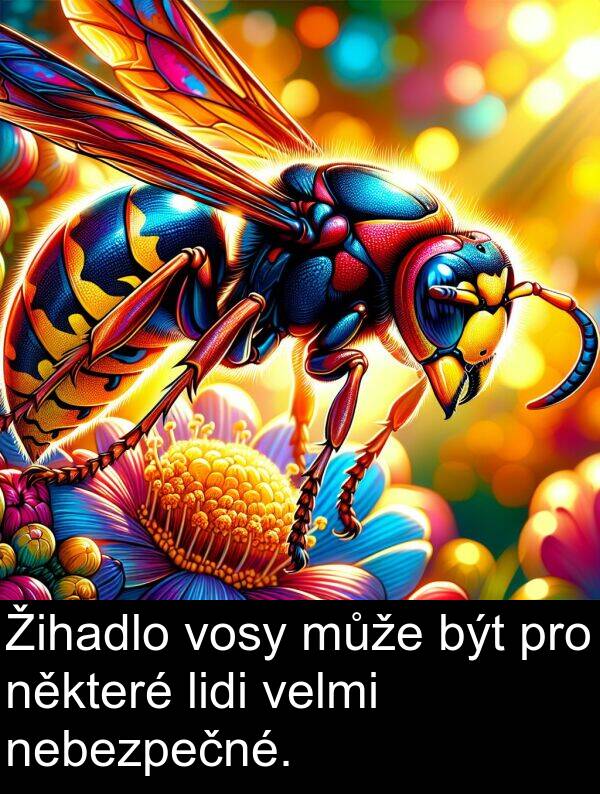 lidi: Žihadlo vosy může být pro některé lidi velmi nebezpečné.