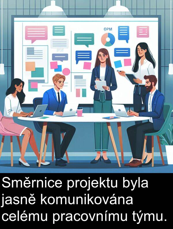 týmu: Směrnice projektu byla jasně komunikována celému pracovnímu týmu.