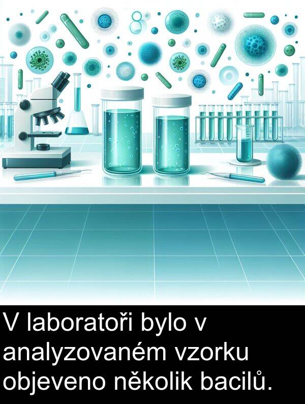 laboratoři: V laboratoři bylo v analyzovaném vzorku objeveno několik bacilů.