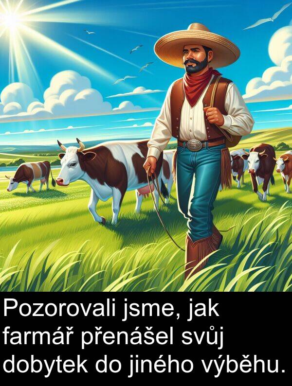 farmář: Pozorovali jsme, jak farmář přenášel svůj dobytek do jiného výběhu.