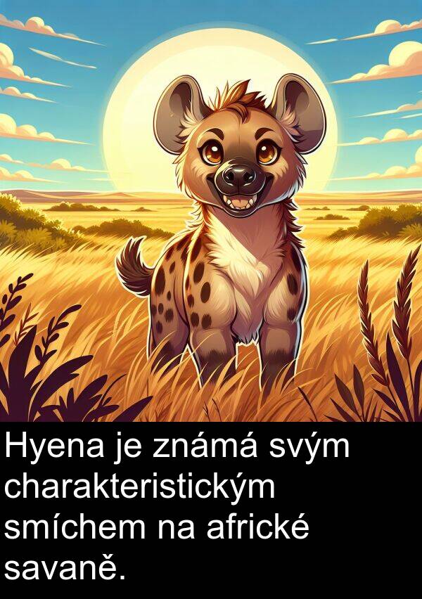 savaně: Hyena je známá svým charakteristickým smíchem na africké savaně.