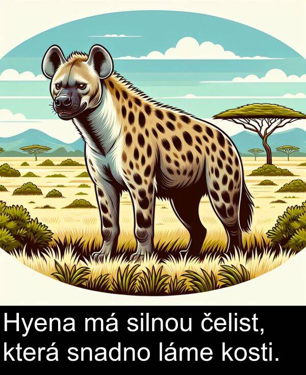 silnou: Hyena má silnou čelist, která snadno láme kosti.