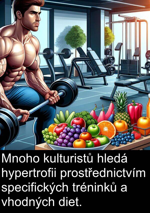 prostřednictvím: Mnoho kulturistů hledá hypertrofii prostřednictvím specifických tréninků a vhodných diet.