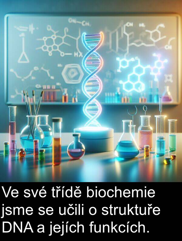 učili: Ve své třídě biochemie jsme se učili o struktuře DNA a jejích funkcích.