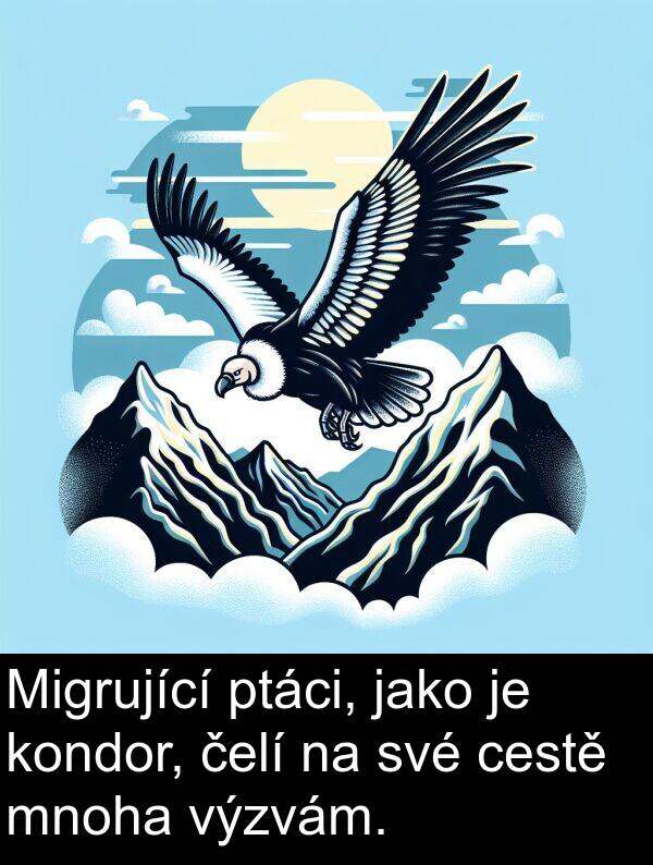 čelí: Migrující ptáci, jako je kondor, čelí na své cestě mnoha výzvám.