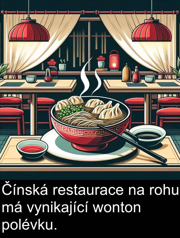 polévku: Čínská restaurace na rohu má vynikající wonton polévku.