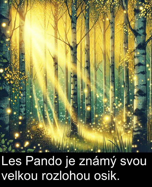 známý: Les Pando je známý svou velkou rozlohou osik.