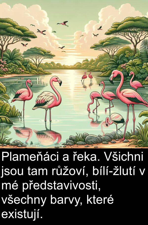 tam: Plameňáci a řeka. Všichni jsou tam růžoví, bílí-žlutí v mé představivosti, všechny barvy, které existují.