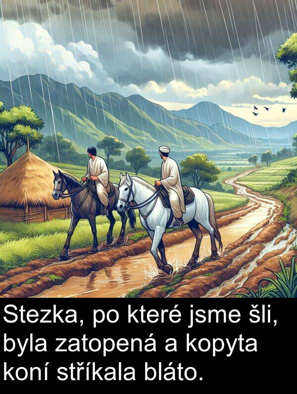 šli: Stezka, po které jsme šli, byla zatopená a kopyta koní stříkala bláto.