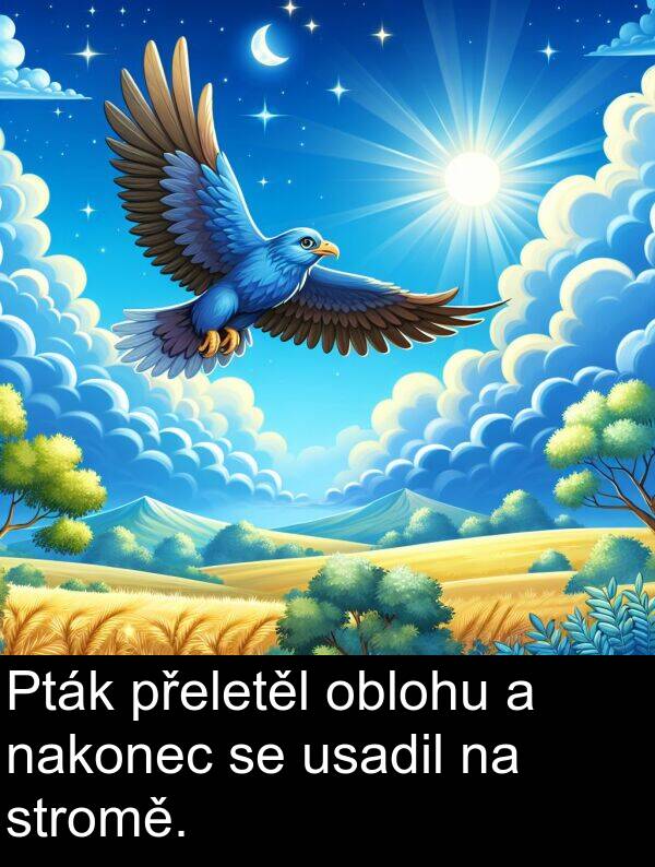 oblohu: Pták přeletěl oblohu a nakonec se usadil na stromě.