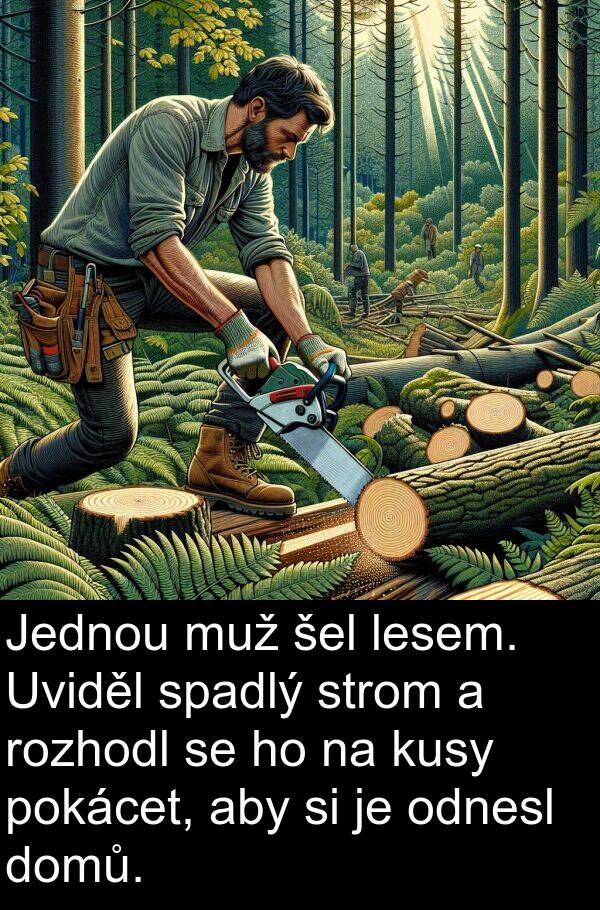 lesem: Jednou muž šel lesem. Uviděl spadlý strom a rozhodl se ho na kusy pokácet, aby si je odnesl domů.